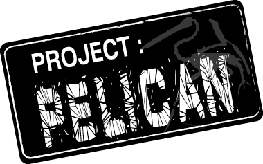 [jdr] Project : PELICAN Logo-p11