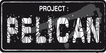[jdr] Project : PELICAN Logo-p13