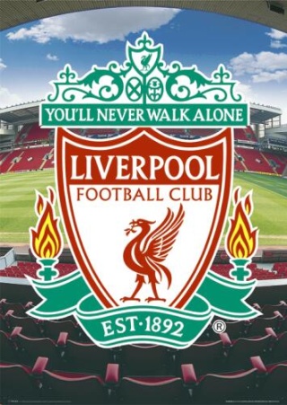 Candidature Liverpool [F.torres] Liverp11