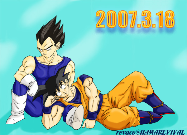 Goku et Veggie 20073110