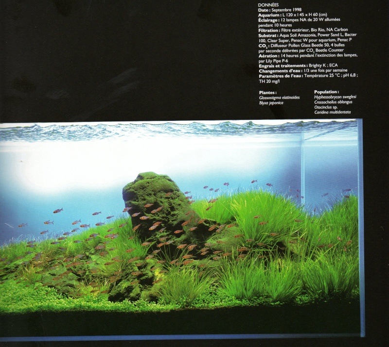L'aquarium naturel par Takashi Amano Img01010