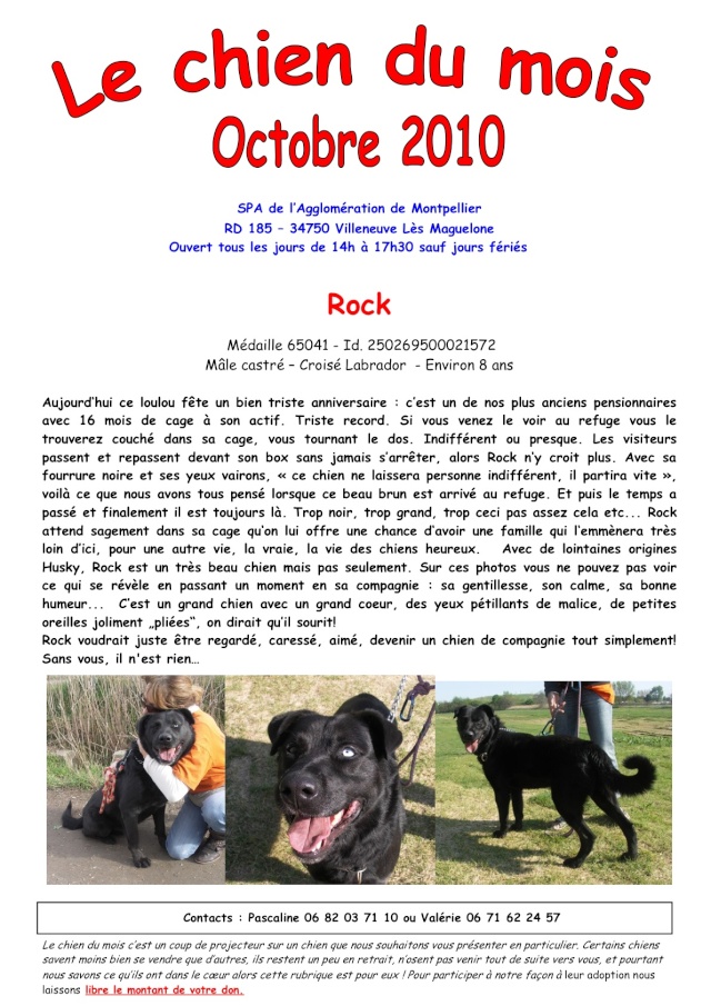 Rock le chien du mois d'Octobre 2010 Rock_o10