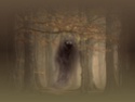 ghosts, ghouls and vampire wallpapers Spectr10