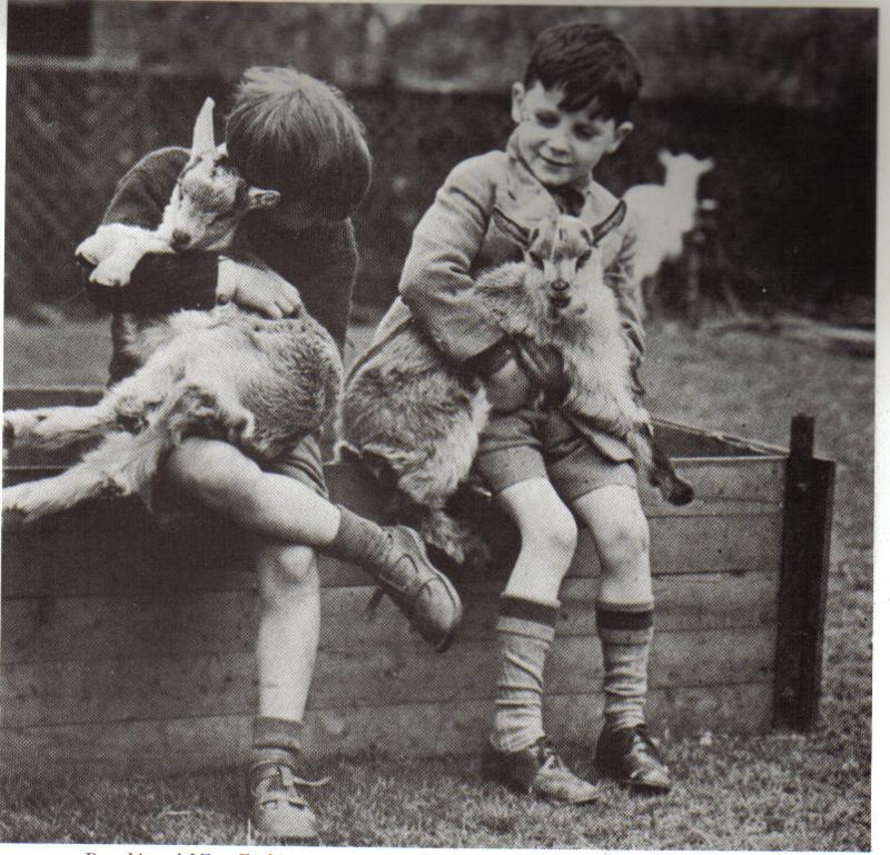 La batalla de Inglaterra en fotografia - Página 3 58_80010