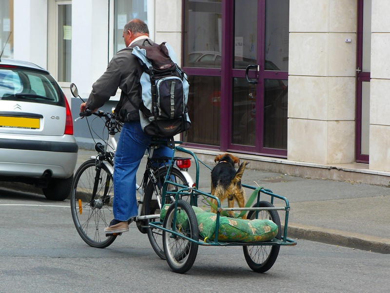 Un façon de promener son chien. P1070410