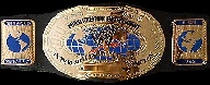 WWE Intercontinental Championship