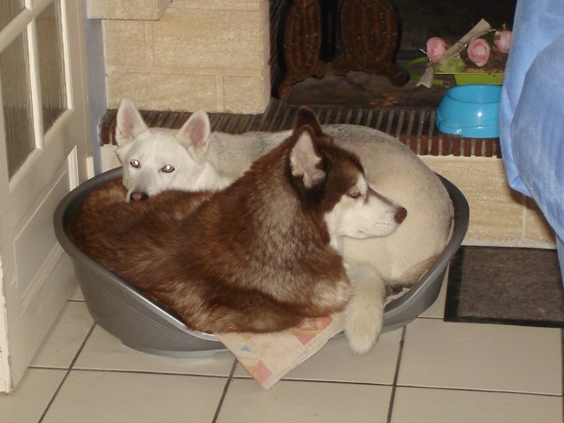 Concours Photos "tendresse" (TERMINE) 2011-010