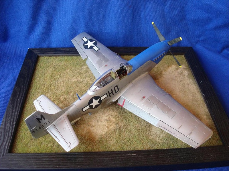 P-51 Tamiya 1/48 Photo_10