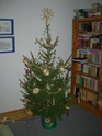 Sho us Your christmas tree! Dscn1811