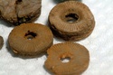 identification d'un fossile Namur Disque10