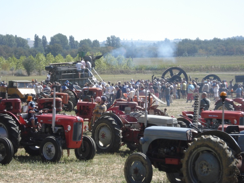 Antic’Agri à Longages (31) 00410