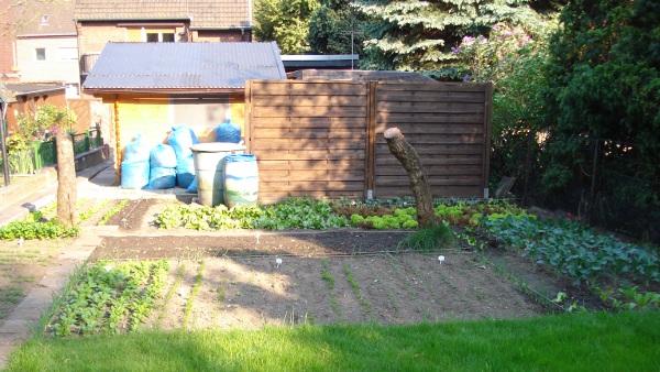Mein Garten in 2011! Tipps und Anregungen wren toll! - Seite 7 Dsc05924