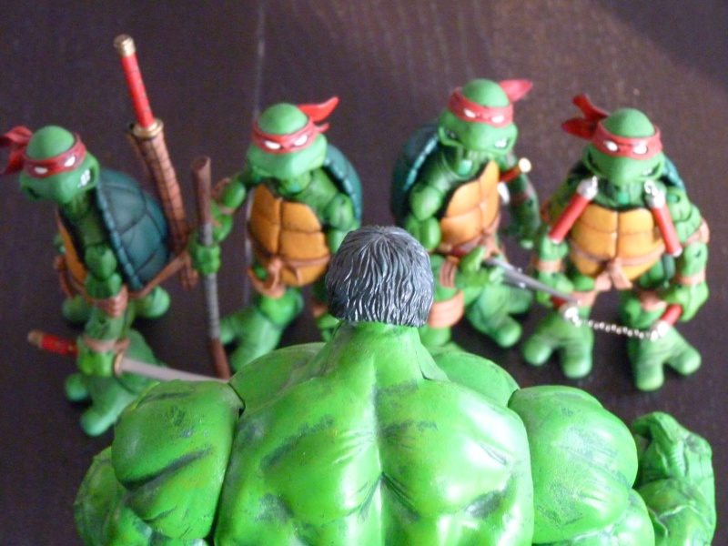 [Mise en Scène] TMNT: vos créations! P1000315