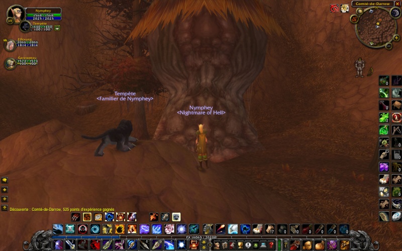 LES BUGS de WOW Wowscr10