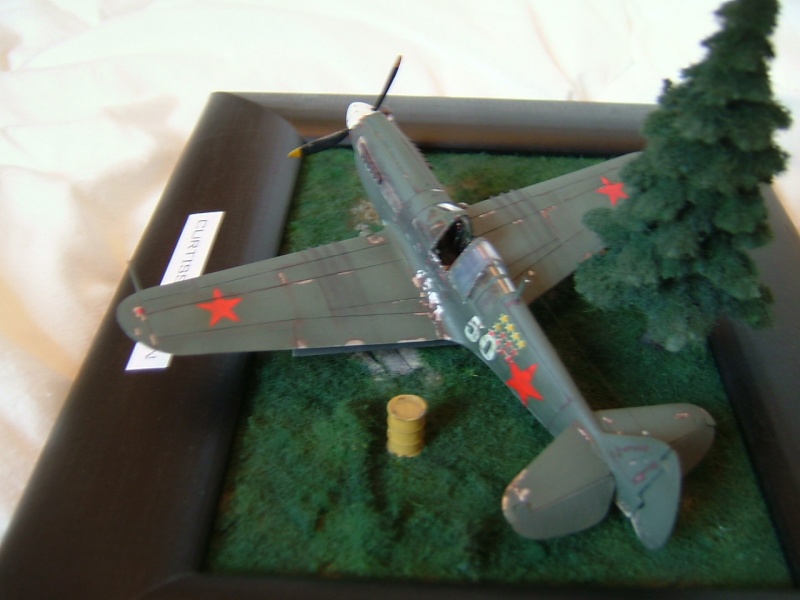 Me 109 suisse et P-40 russe (hobbyboss, la suite....) Dscf3224
