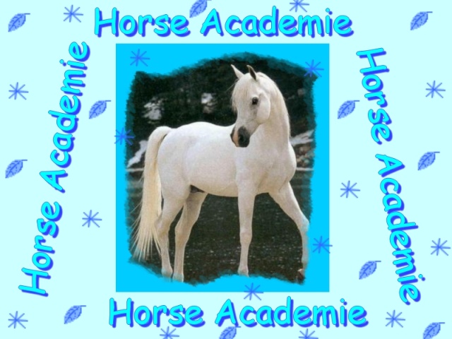 Horse Academie