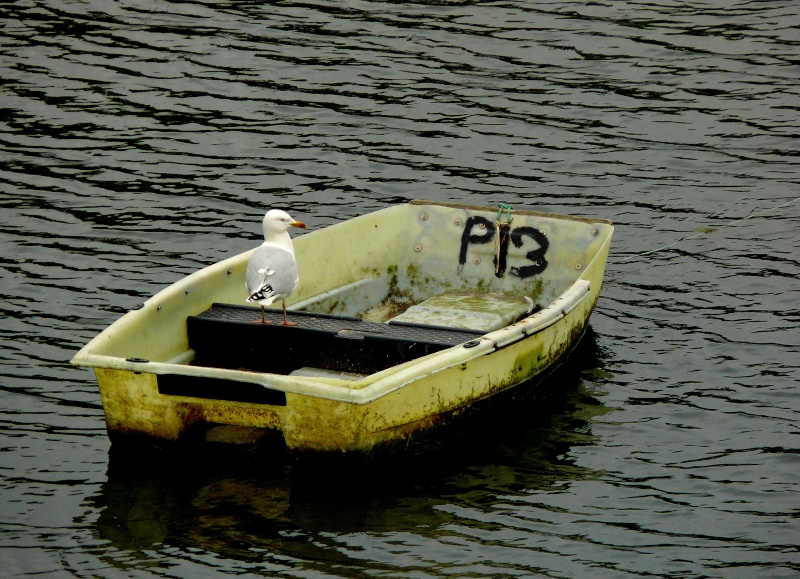 Route Pêche... P1110311