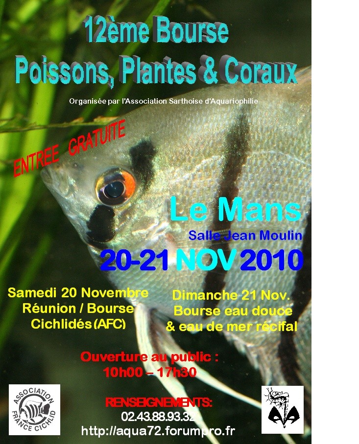 bourse - Bourse au Mans 20 et 21 novembre Affich13