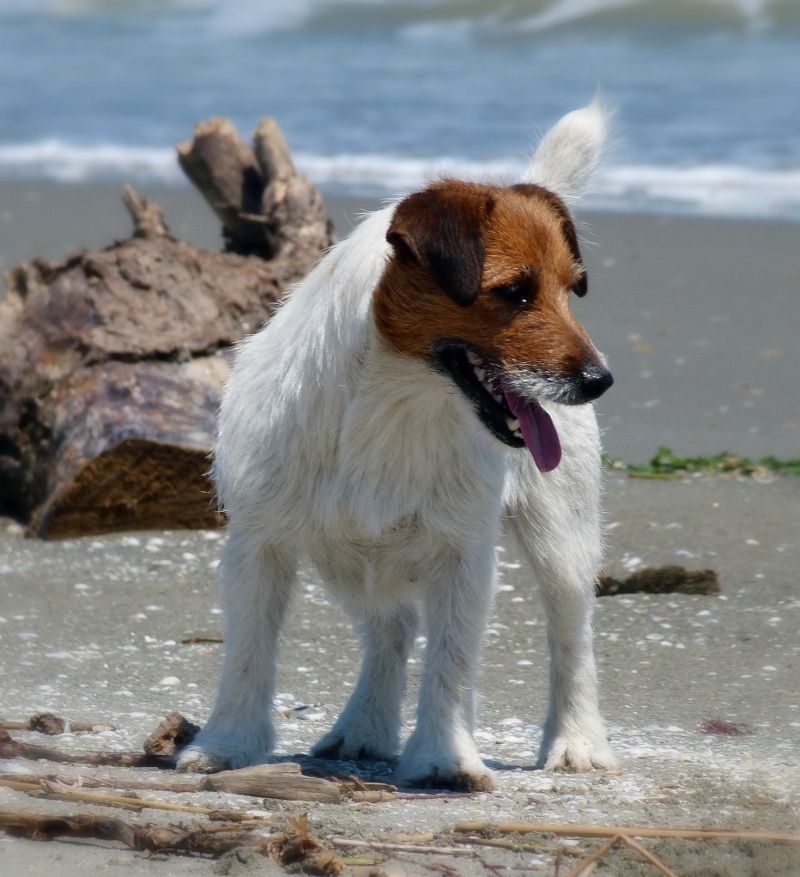 Al mare ! Ricognizione del delta per la nuova stagione ! - Pagina 2 Cherie11