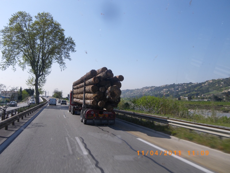 60 tonnes de bois Pdj_5724
