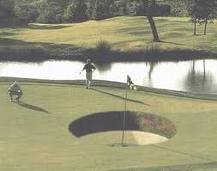 Le golf !!! Images10
