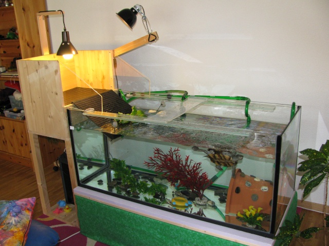 mon aquarium avec plage de ponte 03111