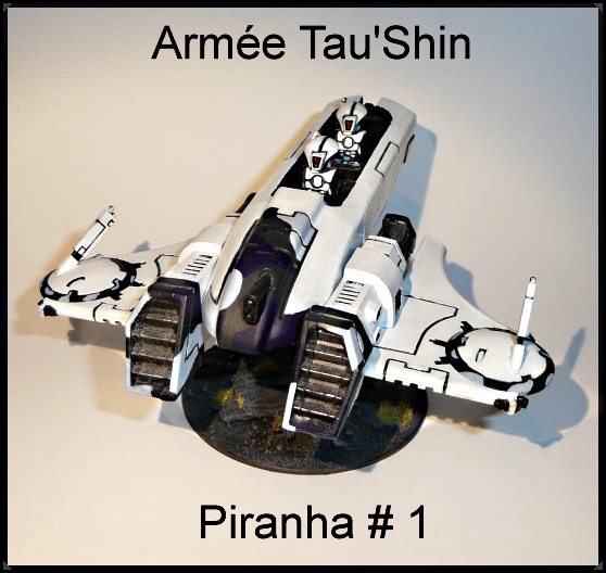 Les Tau'Shin Piranh10