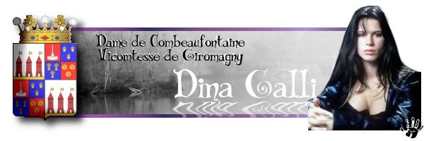 Bannière de Dina Dina2c10