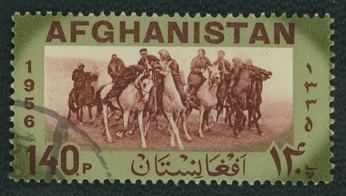 Pferde - Seite 4 Afghan10