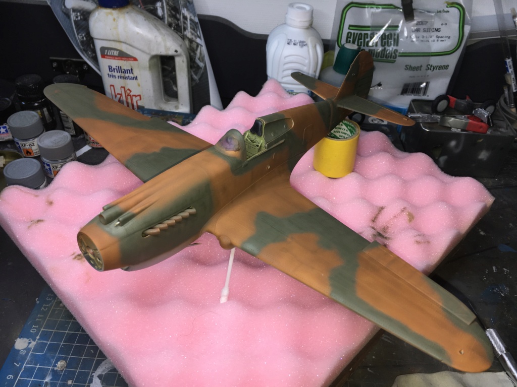 P40 B trompette 1/32 - Page 3 Rondel15