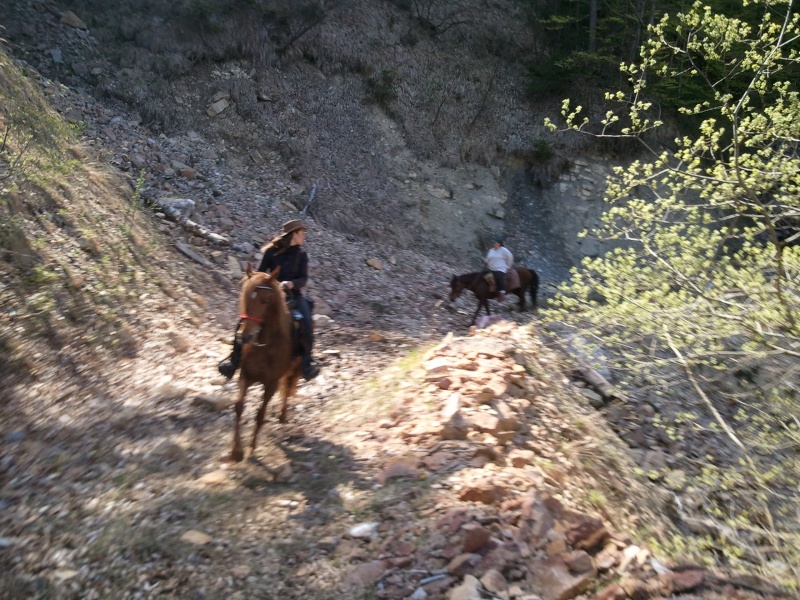 sortie du coté du haut gresivaudan - Page 11 4910