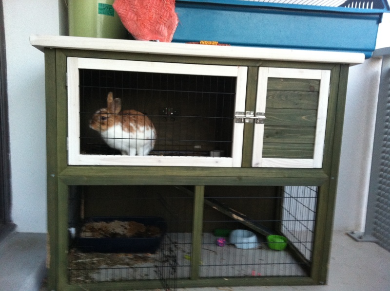 Habitation des lapins : exemples de cages, enclos ... - Page 19 Iphone10