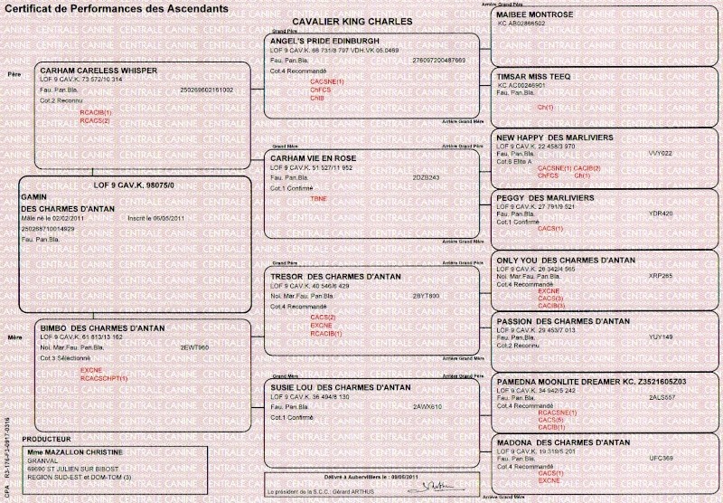 Dernière lettre de la SCC, quelqu'un en avait entendu parlé   - Page 4 Lof210