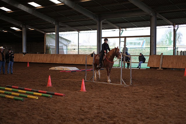 Equitation western - trail Img_4913