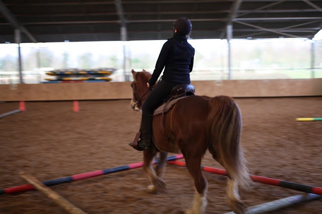 Equitation western - trail Img_4918