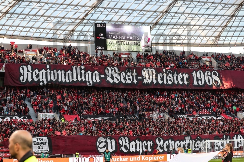 Final // Newcastle - Bayer Leverkusen Nintch11