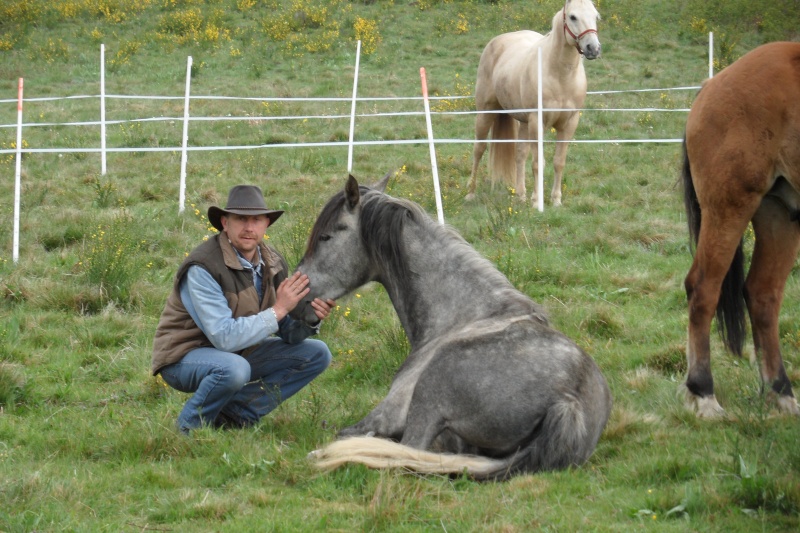 EQUI-VOLCANS  qui en vient??? - Page 3 Sam_0426