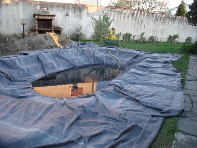 Construction d'un bassin d'environ 16000L Dscf1311