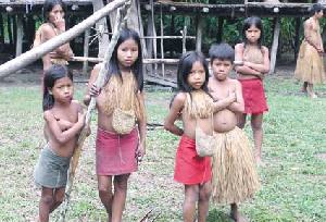 قبيلة من شعب الأمازون بلا روزنامة  32739910