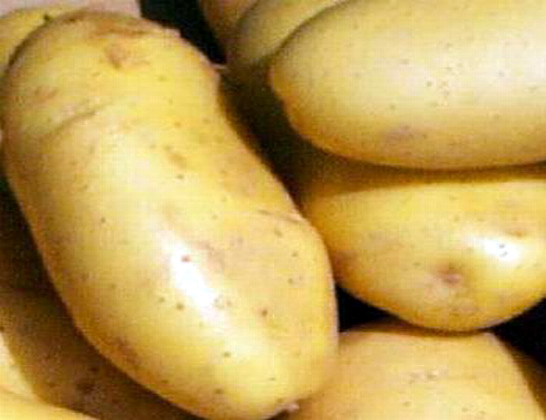 حقائق طبية عن فوائد البطاطا  Potato10