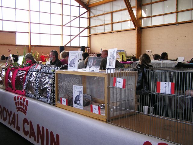 Exposition de Saint Laurent du Var, 16 et 17 avril 2011 00710