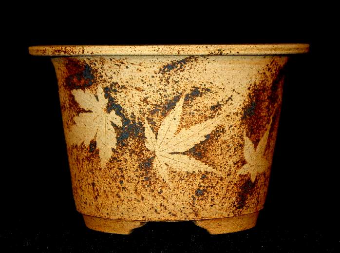 Some pots for the new gallery - Page 14 Maple_13