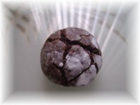 craquelés - Biscuits craquelés au chocolat Pict0412