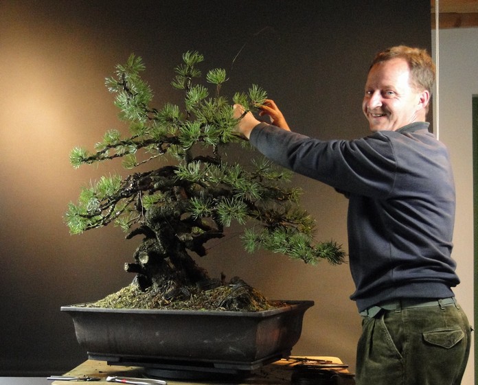 Pinus mugo 2007 (owner Mirek Škrabal) - first styling 2011 Muvr_212