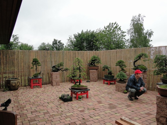 Bonsai Exhibition "Na Zvonici" Prv-3210