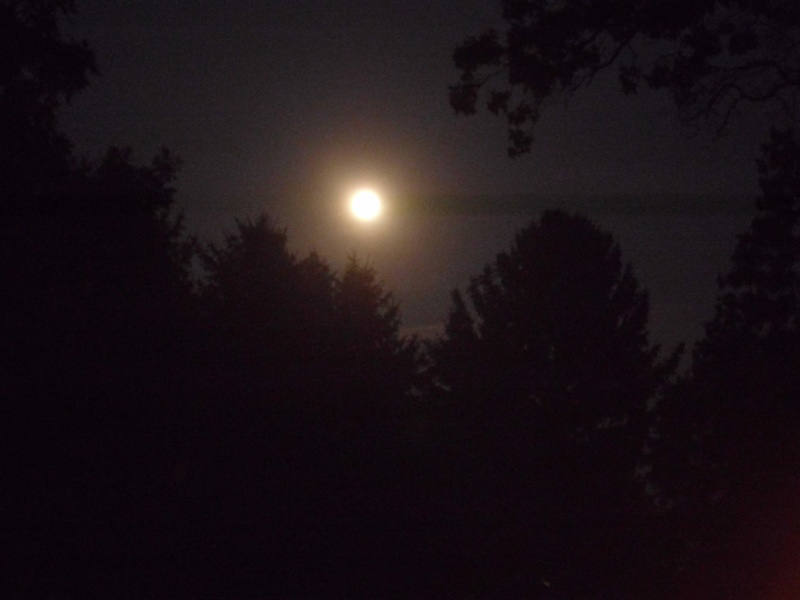 full moon and jupiter Hpim3917