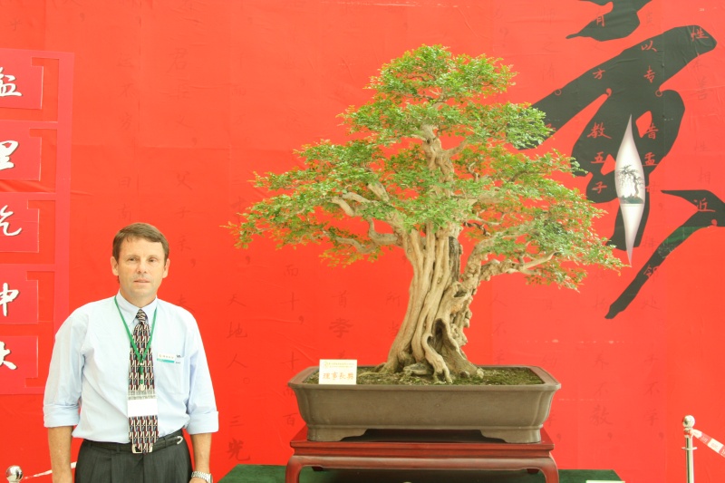 Guangdong Bonsai Exhibition - control -alt-delete your bonsai perceptions  China_12