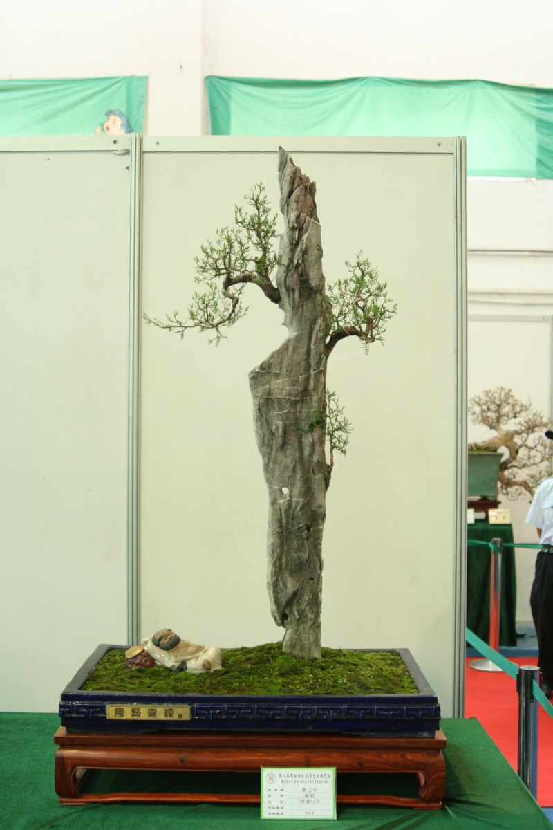 Guangdong Bonsai Exhibition - control -alt-delete your bonsai perceptions  China_21