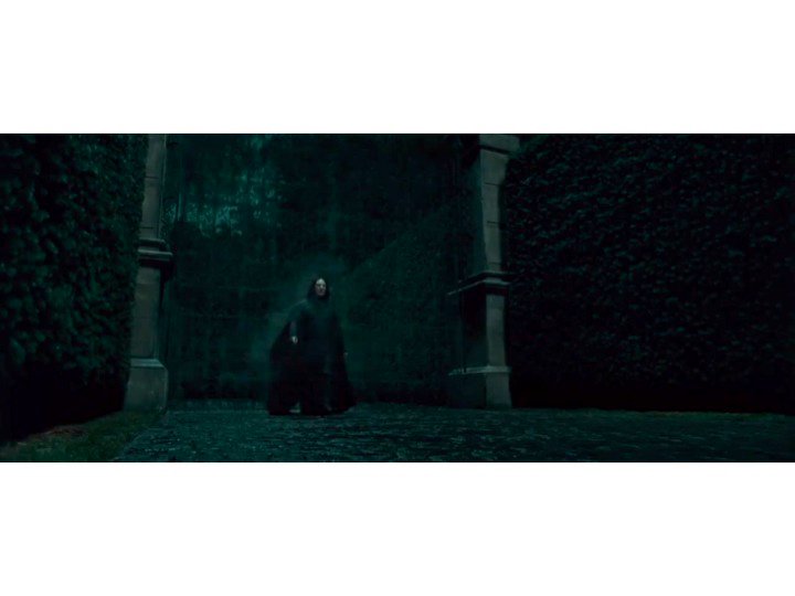 "Harry Potter et les reliques de la mort" au cinéma 73435_10