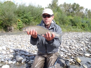 Arbitrage D1 peche à la mouche sur ISERE..et ma petite peche P9260113